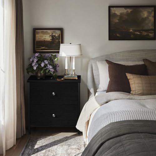 Modern Black Nightstands Set of 2 with 2 Drawers - Stylish Bedroom Furniture